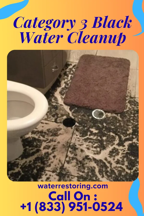 Category 3 Black Water Cleanup in Bull Lake, MT