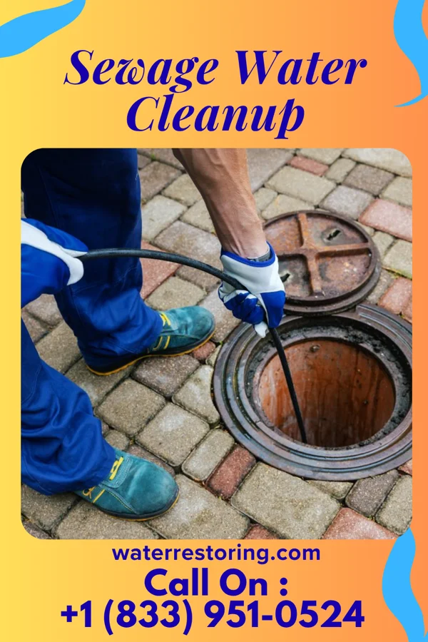 Sewage Water Cleanup in Bull Lake, MT